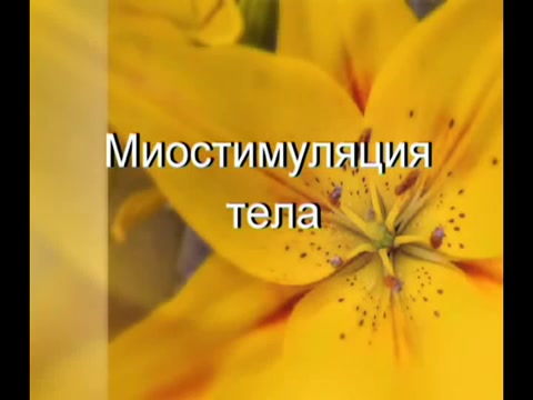 Принцип проведения процедуры под названием миостимуляция тела